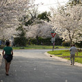 DSC01910.JPG