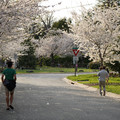DSC01911.JPG