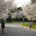 DSC01912.JPG