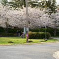 DSC01913.JPG