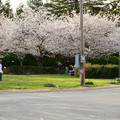 DSC01914.JPG