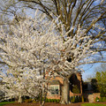 DSC01915.JPG