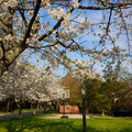 DSC01916.JPG