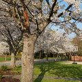 DSC01917.JPG