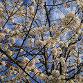 DSC01918.JPG