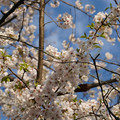 DSC01921.JPG