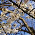 DSC01922.JPG