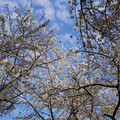 DSC01923.JPG