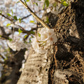 DSC01926.JPG