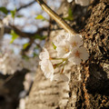 DSC01927.JPG