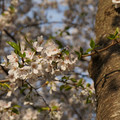 DSC01932.JPG
