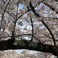 DSC01939.JPG
