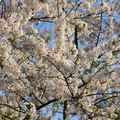 DSC01940.JPG