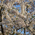 DSC01941.JPG