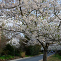 DSC01943.JPG