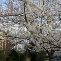 DSC01945.JPG