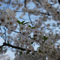 DSC01946.JPG