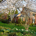 DSC01948.JPG