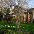 DSC01949.JPG