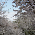 DSC01950.JPG