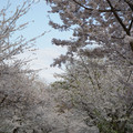 DSC01951.JPG