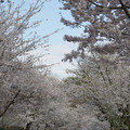 DSC01952.JPG