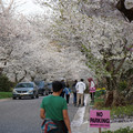 DSC01953.JPG
