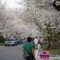 DSC01954.JPG