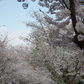 DSC01955.JPG