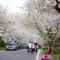 DSC01956.JPG