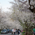 DSC01957.JPG