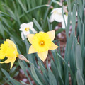 DSC01959.JPG