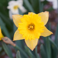 DSC01960.JPG