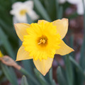 DSC01961.JPG
