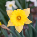 DSC01962.JPG