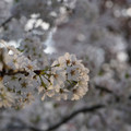 DSC01965.JPG