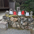 PXL_20260302_051525473.RAW-01.COVER.jpg