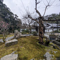 PXL_20260302_051559537.RAW-01.COVER.jpg