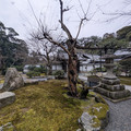 PXL_20260302_051603729.RAW-01.COVER.jpg