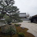 PXL_20260302_052337727.RAW-01.COVER.jpg