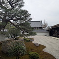 PXL_20260302_052339530.RAW-01.COVER.jpg
