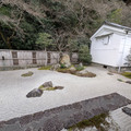 PXL_20260302_053152196.RAW-01.COVER.jpg
