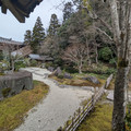 PXL_20260302_053247539.RAW-01.COVER.jpg