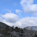 PXL_20260304_001957724.RAW-01.COVER.jpg