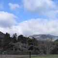 PXL_20260304_002012906.RAW-01.COVER.jpg