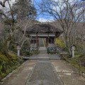 PXL_20260304_002352516.RAW-01.COVER.jpg