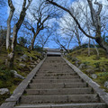 PXL_20260304_002940370.RAW-01.COVER.jpg