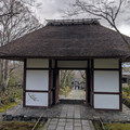 PXL_20260304_002954805.RAW-01.COVER.jpg