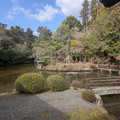 PXL_20260304_011734906.RAW-01.COVER.jpg