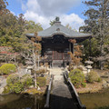 PXL_20260304_011746804.RAW-01.COVER.jpg